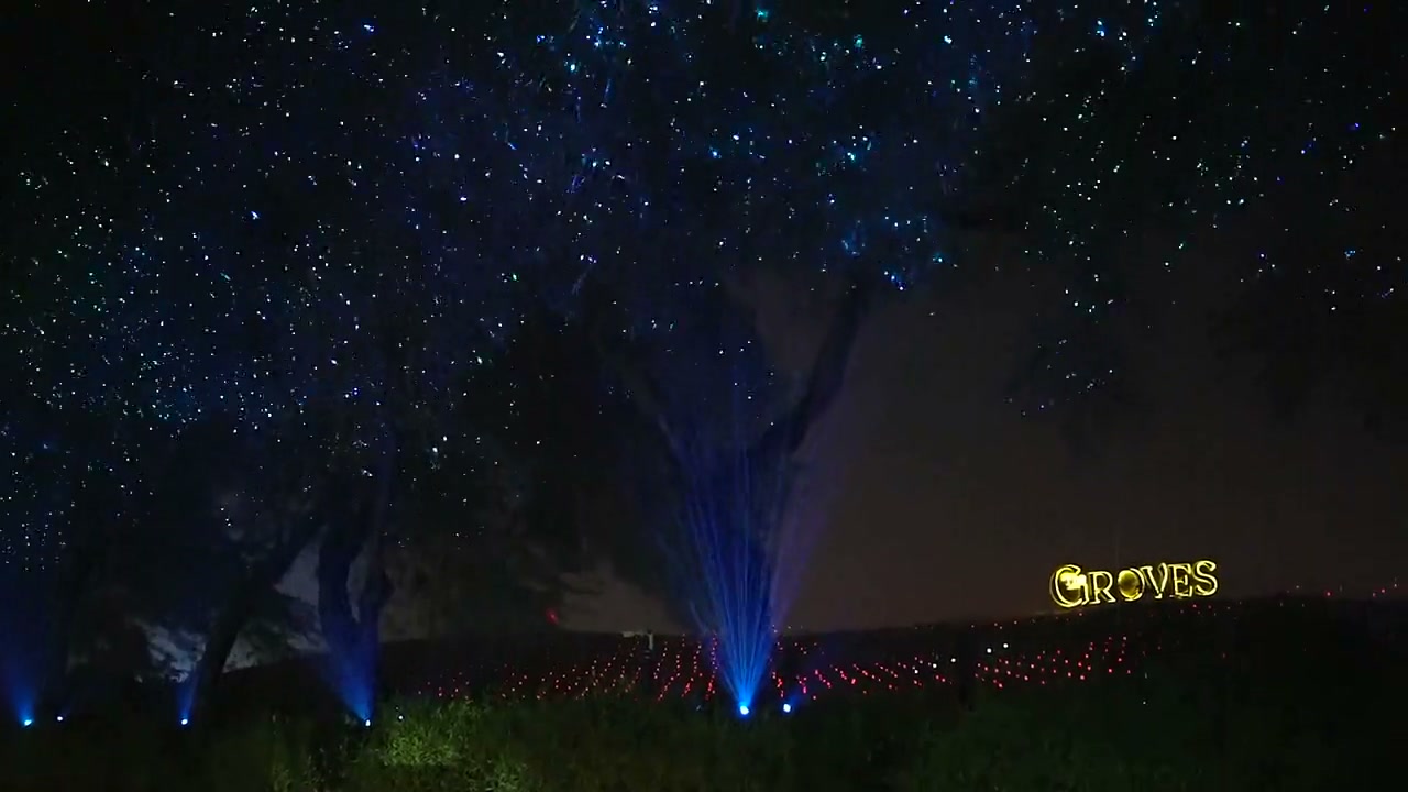 Blue beams rise through a tree canopy scattered with tiny lights, beside the illuminated Groves name.